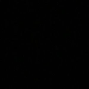 Meet your Posher, Byrd